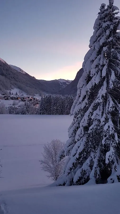 Au Calme Face Au Grand Paysage Apartment Essert-Romand France