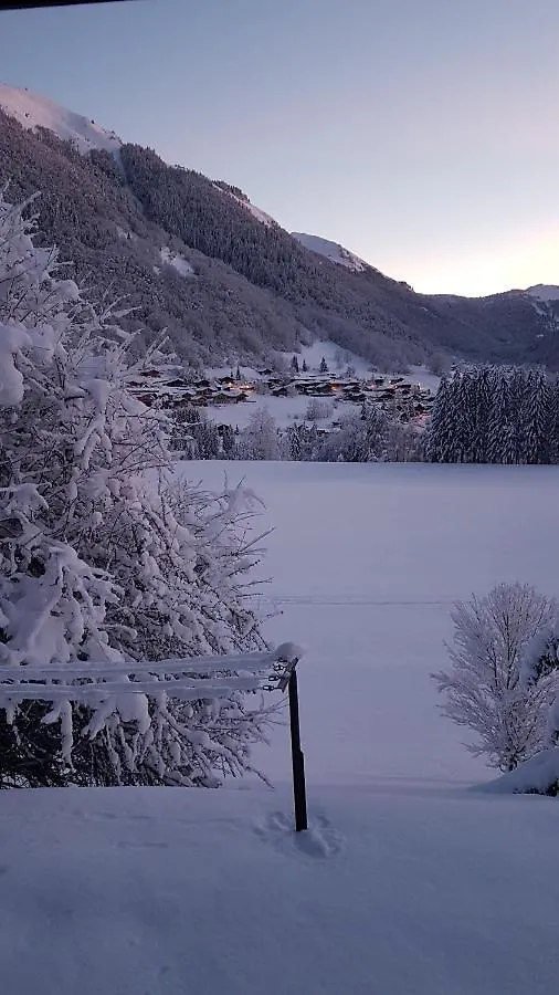 Au Calme Face Au Grand Paysage Apartment Essert-Romand