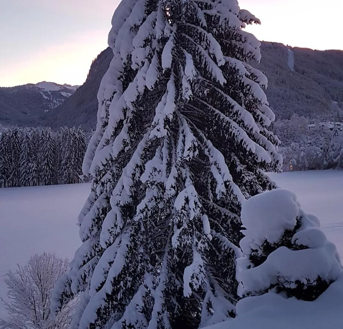Au Calme Face Au Grand Paysage Apartment Essert-Romand 0*,  France